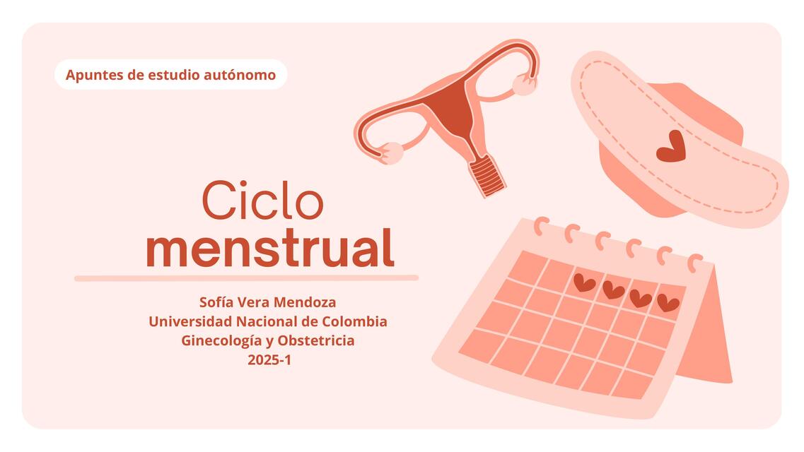 Ciclo menstrual