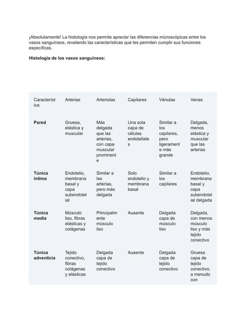 histologicamente diferencias entre la las venas