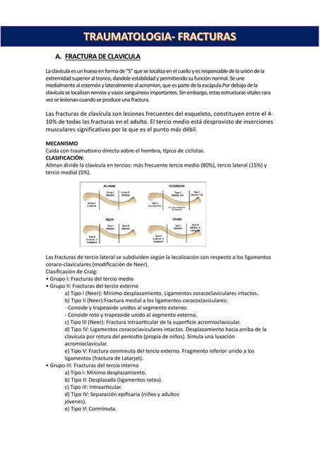 FX: Clavicula y Escapula