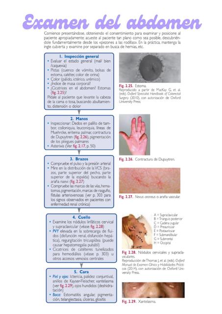 Examen del abdomen