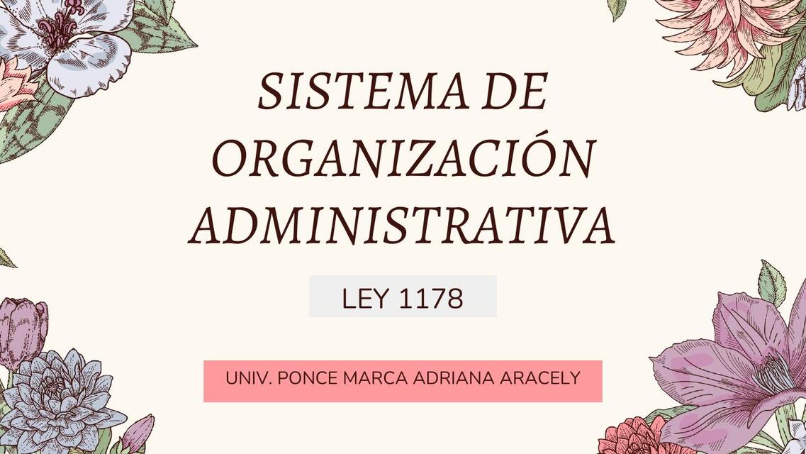 Sistema de Organizacion Administrativa