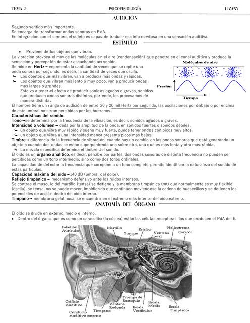 Audición