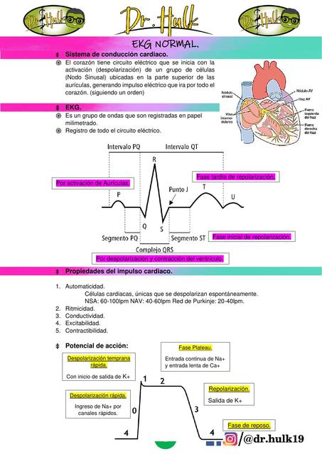 EKG NORMAL DR HULK