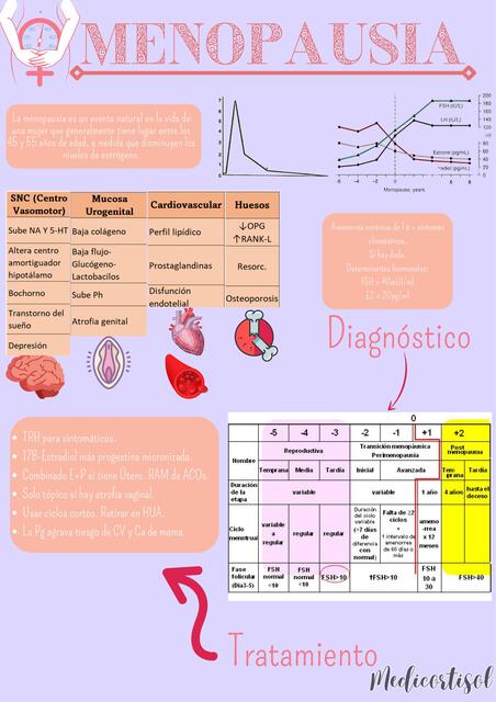 Menopausia