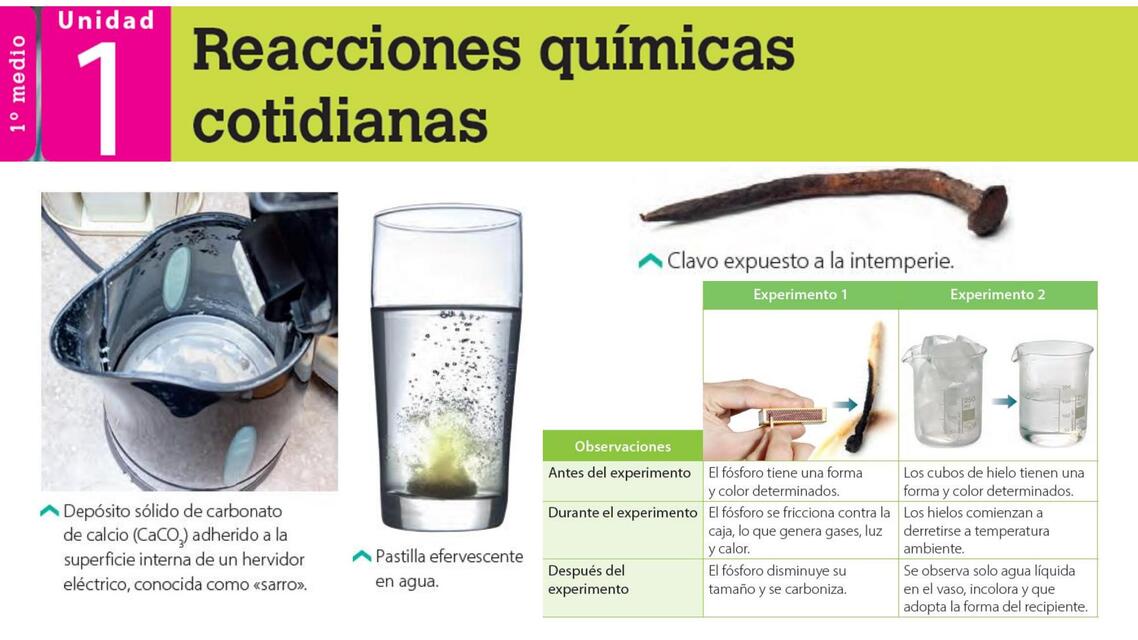 Reacciones químicas en la vida cotidiana (introducción) | Catalina | uDocz