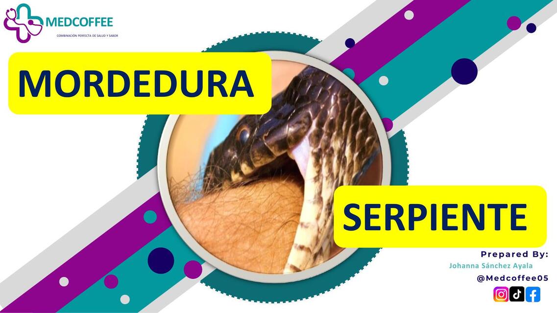 Mordedura de serpiente