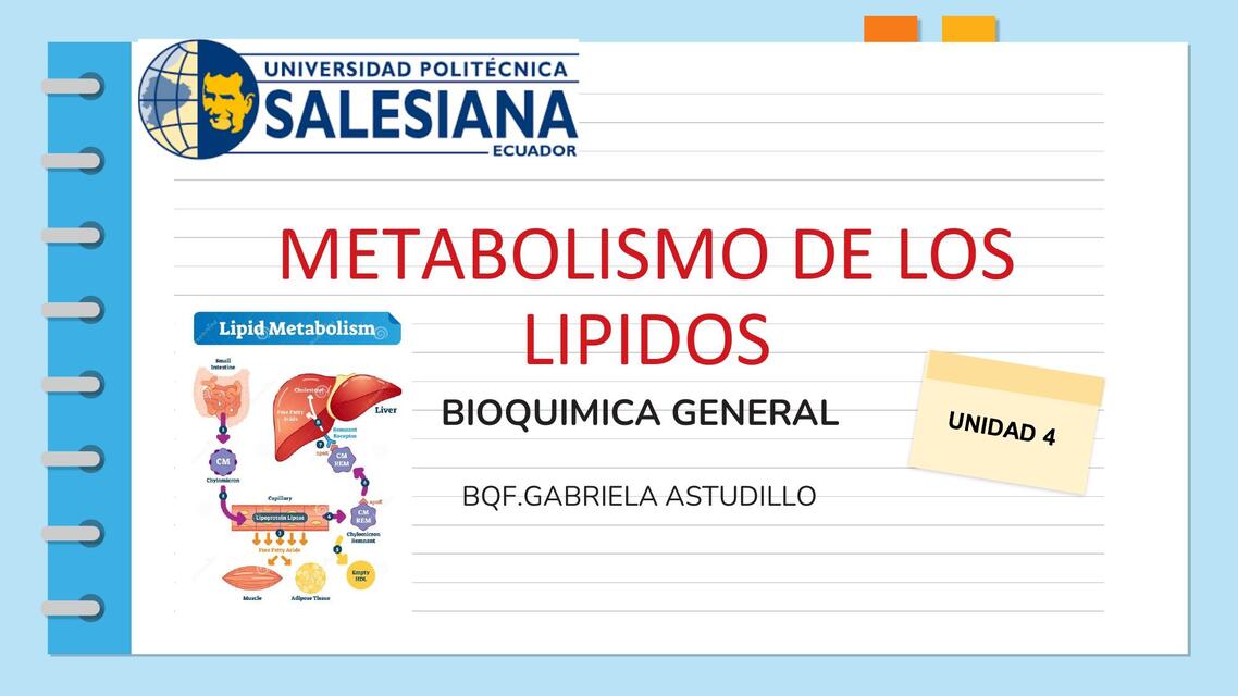 metabolismo Lipidos 2 listo P65