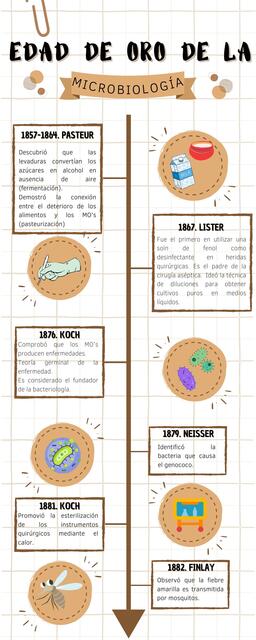 Infografía edad de oro de la microbiología