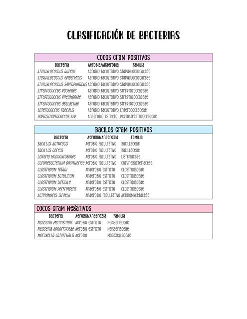 Clasificación de Bacterias