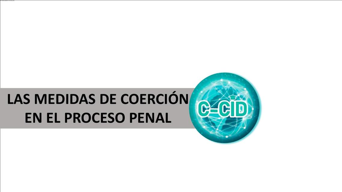 LAS MEDIDAS DE CORCION EN EL PROCESO PENAL