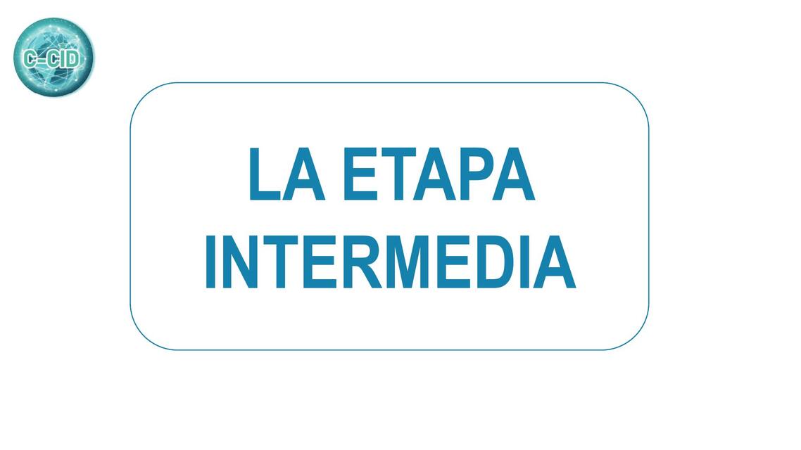 ETAPA INTERMEDIA EN EL PROCESO PENAL