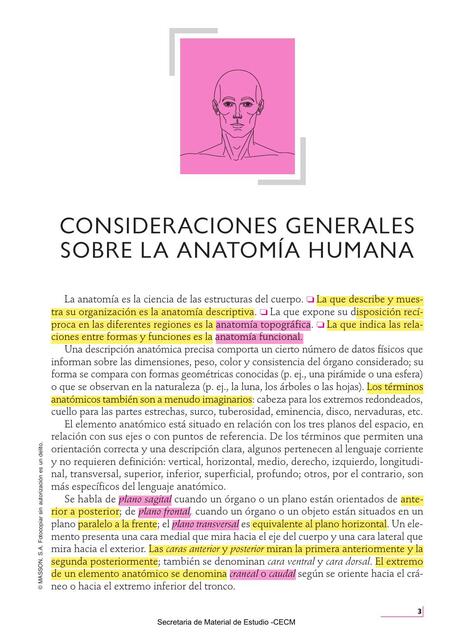 1 1 Consideraciones generales de anatomia