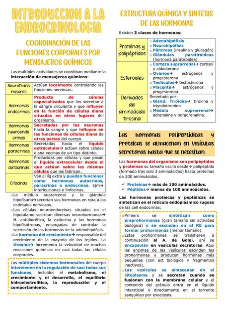 1 Introducción a la endocrinología