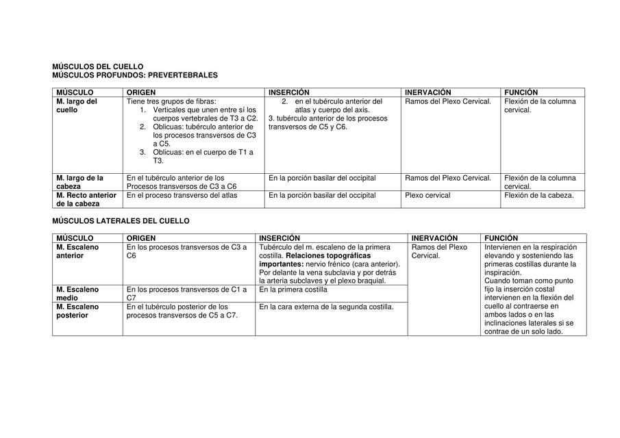 MÚSCULOS DE CABEZA Y CUELLO