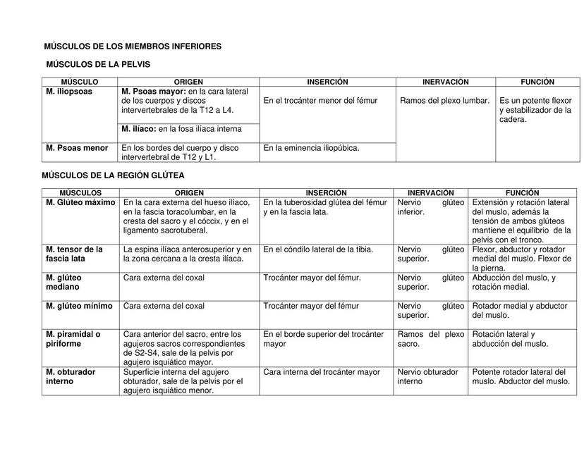 MÚSCULOS DE LOS MIEMBROS INFERIORES