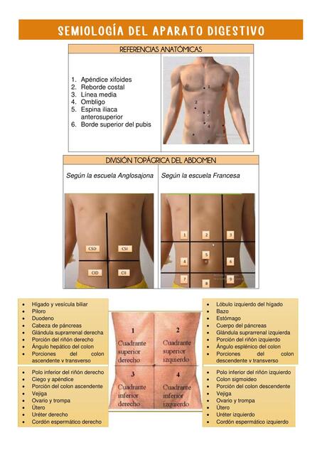 Semiología del Aparato Digestivo