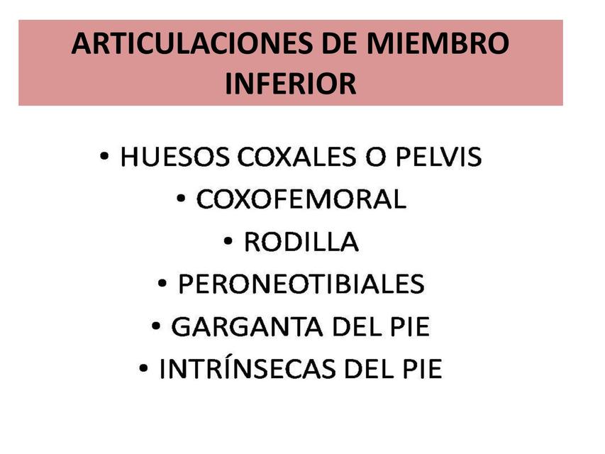 Articulaciones De Miembro Inferior Anatomia Lisette Resumediqobste