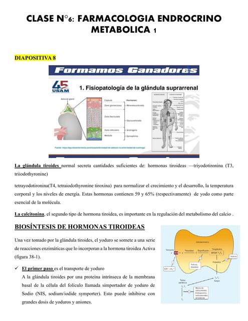 CLASE 6