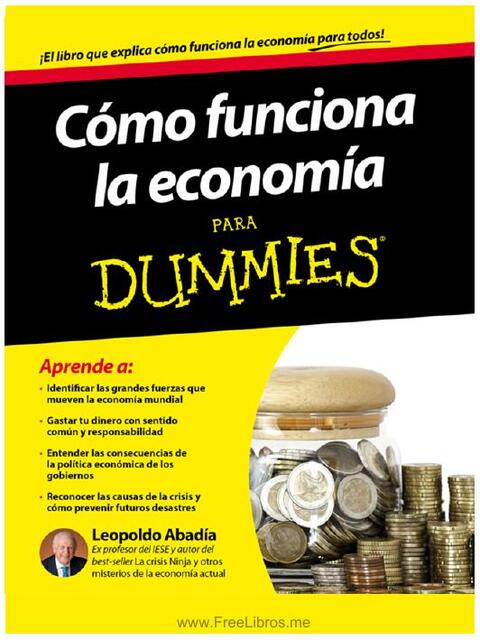 Como funciona economia para dummies leop