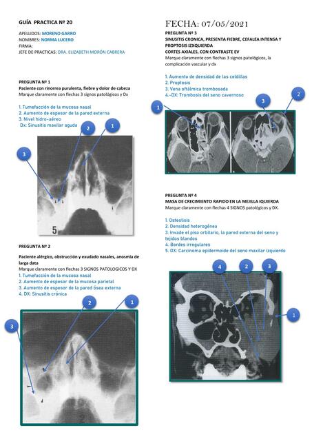 GUÍA PRACTICA N° 20