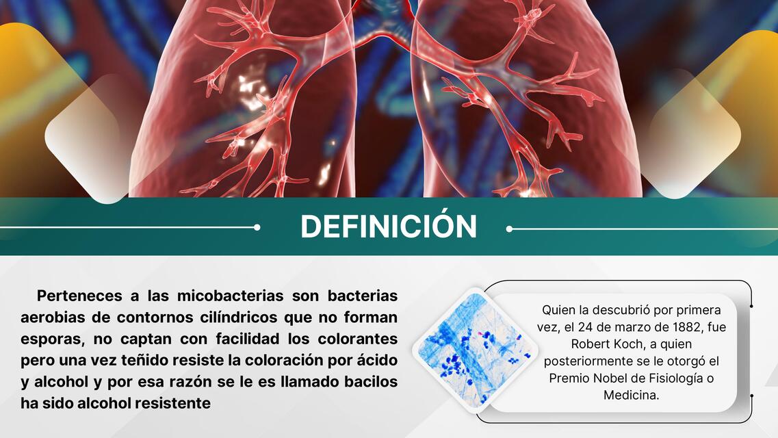 Mycobacterium Tuberculosis