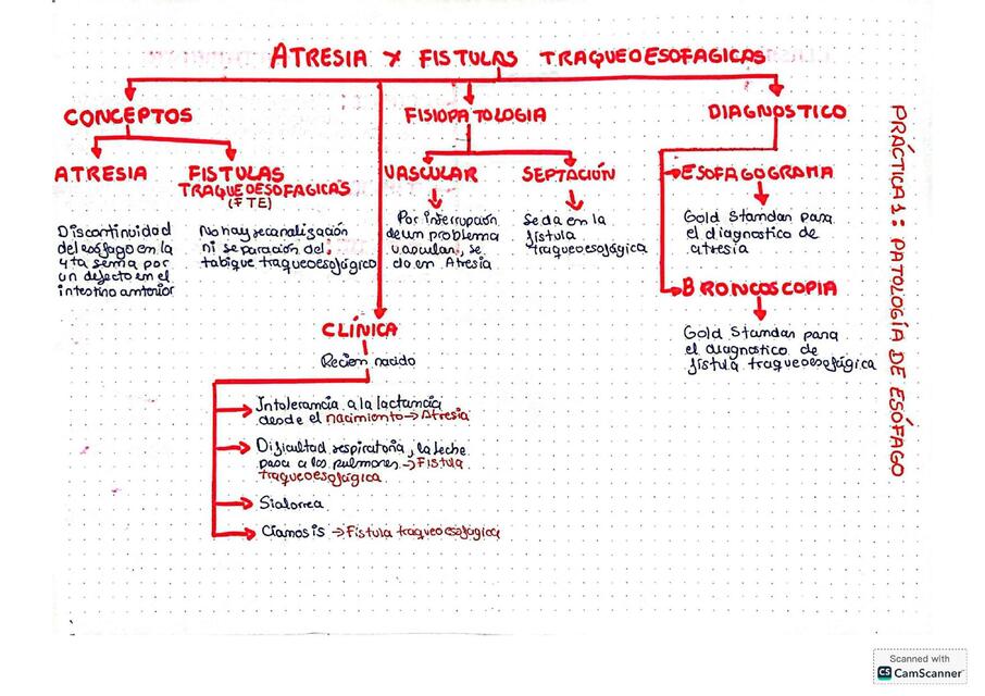 ATRESIA Y FISTULAS TRAQUEOESOFAGICAS