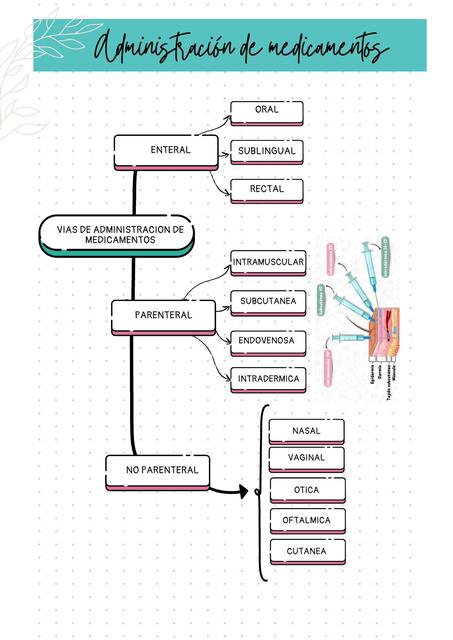 vias de administracion de med