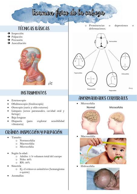 Semiología de cabeza exploración