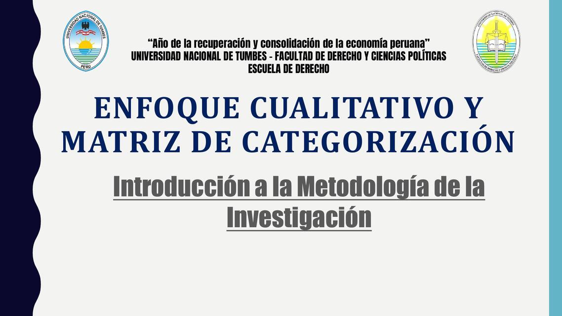 ENFOQUE CUALITATIVO Y MATRIZ DE CATEGORIZACIÓN