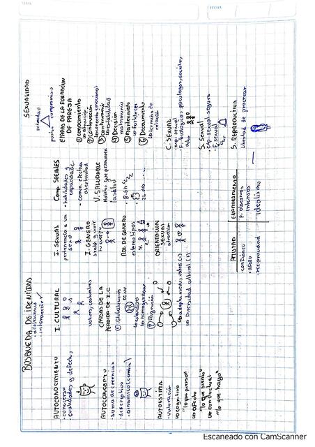 procesos cognitivos y búsqueda de la identidad