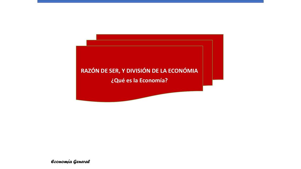 Razón de Ser y División de la Economía