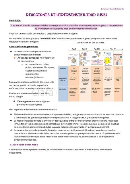 REACCIONES DE HIPERSENSIBILIDAD - HSB I-HSB II-HSB III-HSB IV- Anatomia patologi