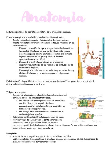 Neumología