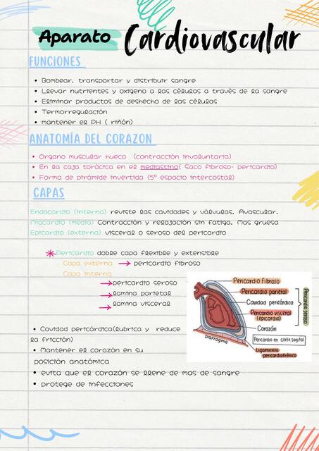 Apuntes Aparato Cardiovascular