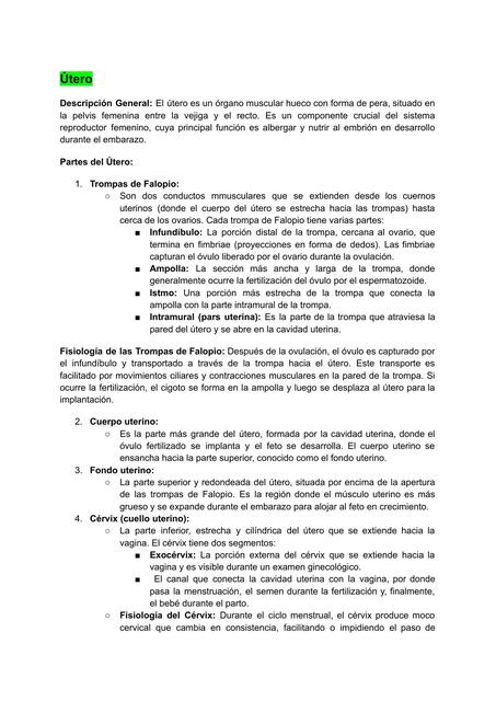 útero Abigail Udocz