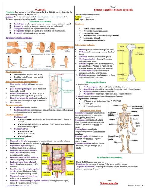 Anatomía preuniversitario 💀🧠