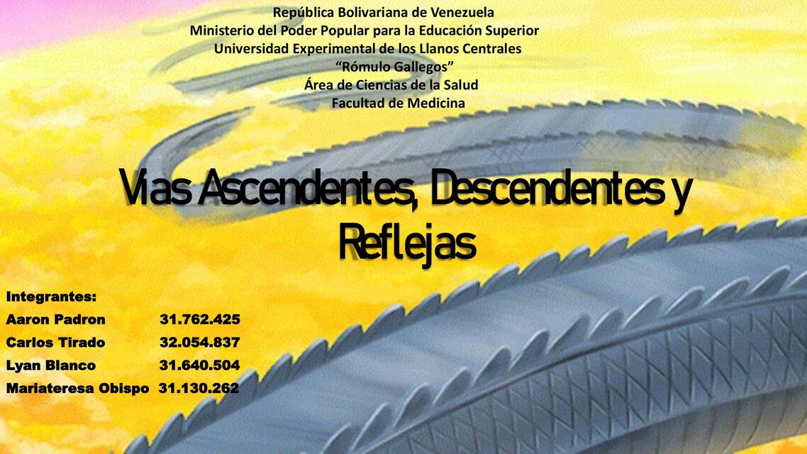 Vias Ascendentes y Descendentes Autoguardado 1 1