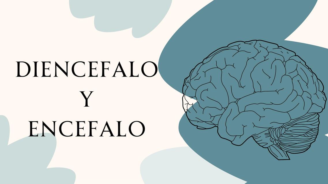 diencefalo y encefalo