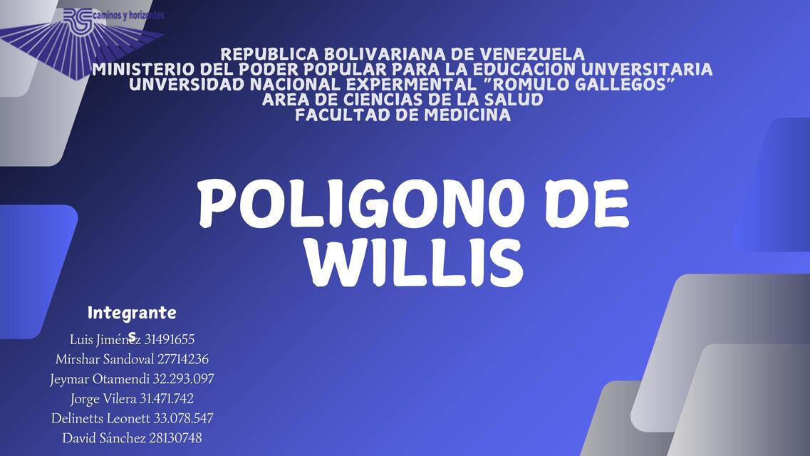 Poligono de willis