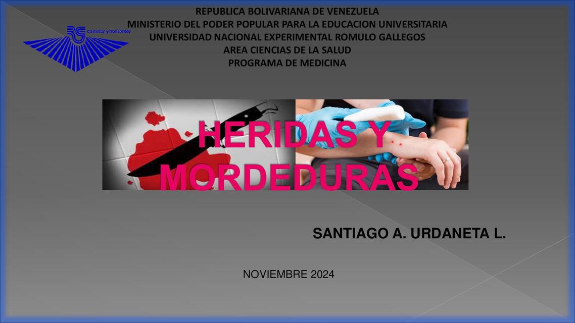 SEMINARIO HERIDAS 