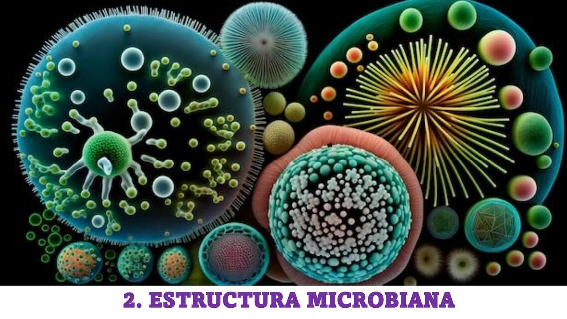 Estructura microbiana | Fernanda Guevara | uDocz