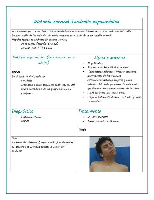 Patologías cervicales dorsales y lumbares