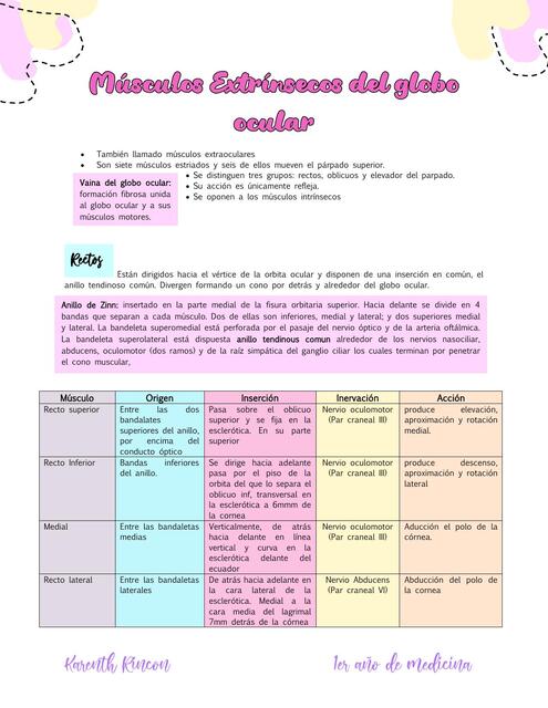 musculos extrinsecos del ojo