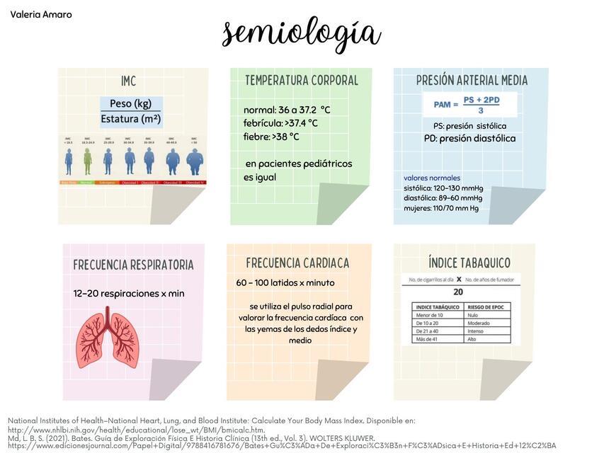 semiología