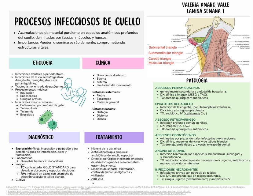 Procesos infeccioso de cuello