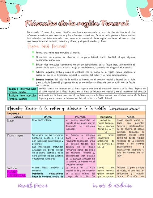 musculos PORCION Femoral