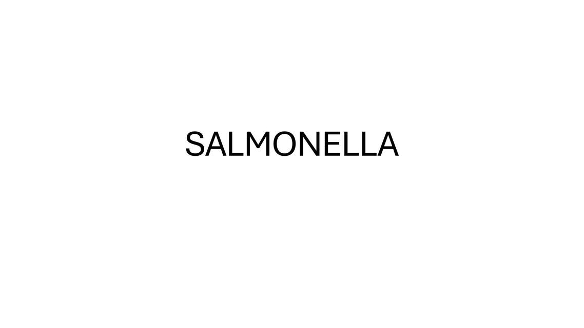 salmonella corregido