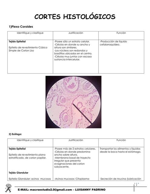 Cortes Histológicos Parcial Práctico I