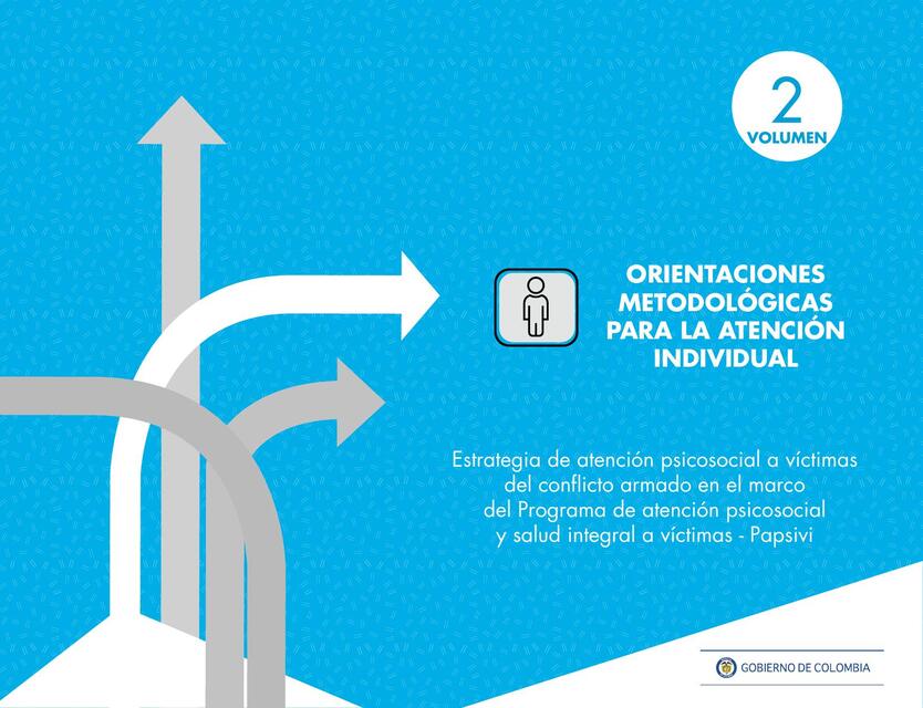 ORIENTACIONES METODOLÓGICAS PARA LA ATENCIÓN INDIVIDUAL