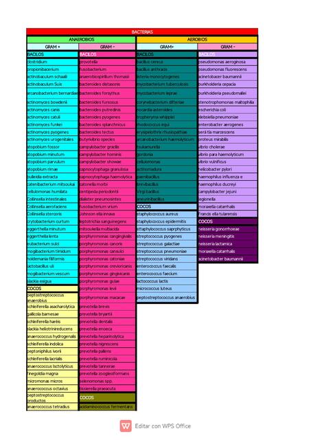 clasificacion de bacterias